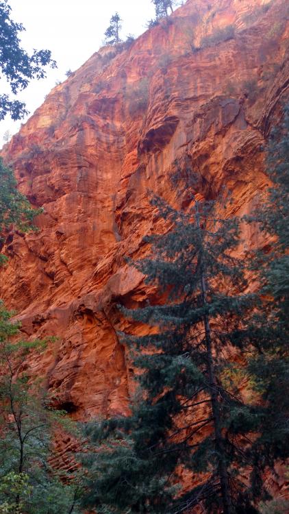 IMG_20170821_160621954_HDR.jpg