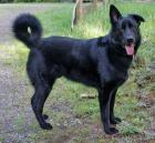 post-4974-0-25897200-1396613298_thumb.jp